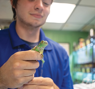 Small Pet Room Employees